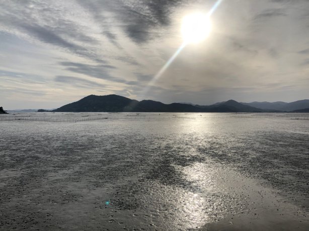 와온해변