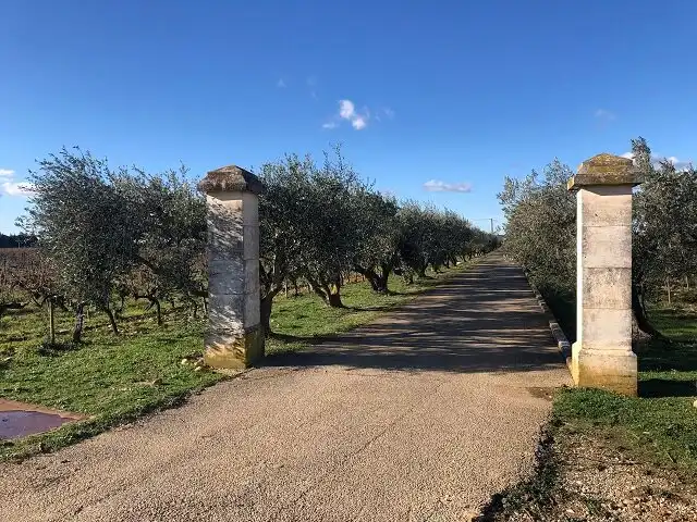 Hôtels à proximité de : Château d'Aiguilhon