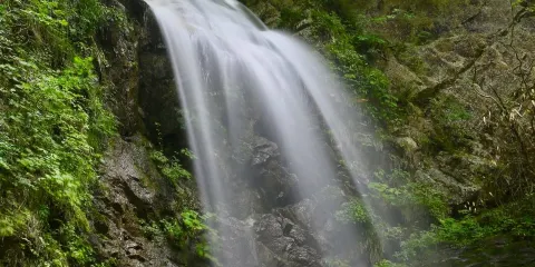 唐沢滝