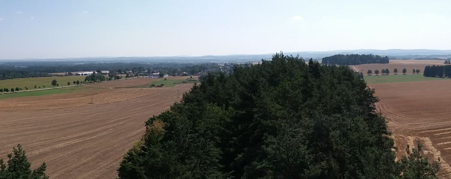 Rozhledna Rydluv kopec