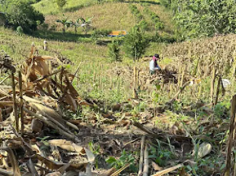 Villa Bukit Halundeko