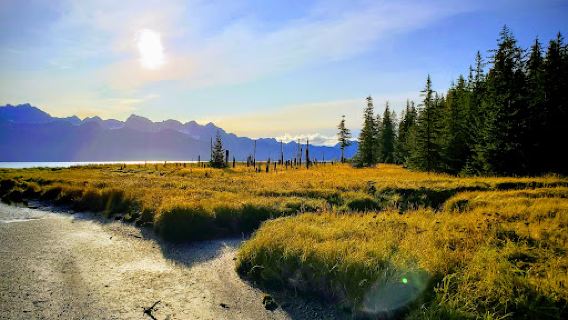 Caines Head Trailhead