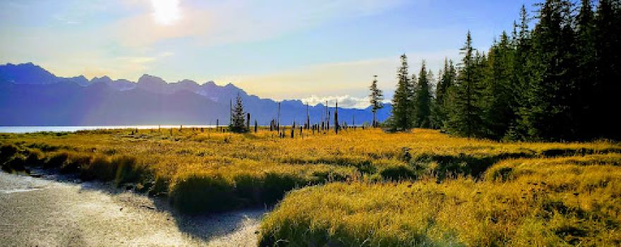 Caines Head Trailhead