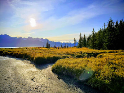 Caines Head Trailhead