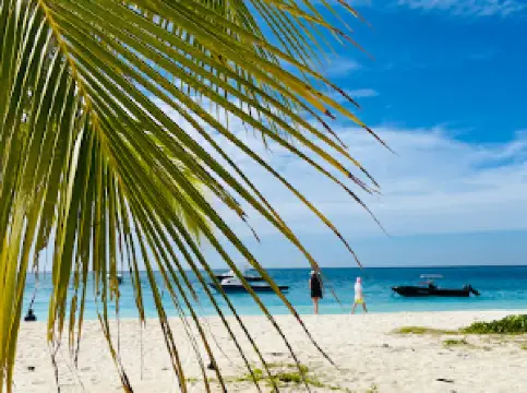 Stingray Observation Point