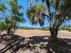 Croom Wildlife Management Area