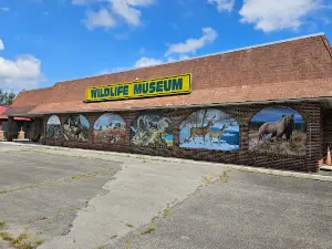 The Wildlife Sports and Educational Museum