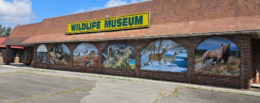 The Wildlife Sports and Educational Museum