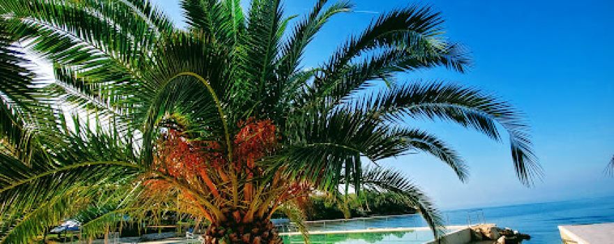 Beach Lokvina Mareda