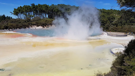 Start of Haruru Falls Track