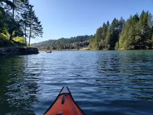 Cooper Creek Reservoir