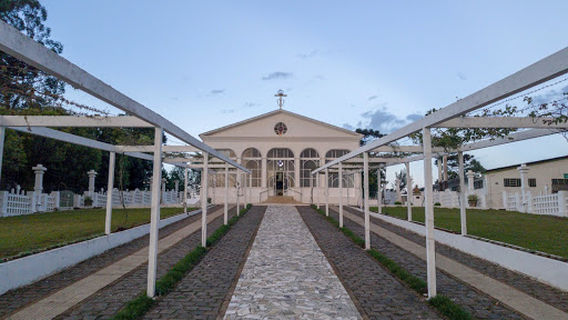 Palmas