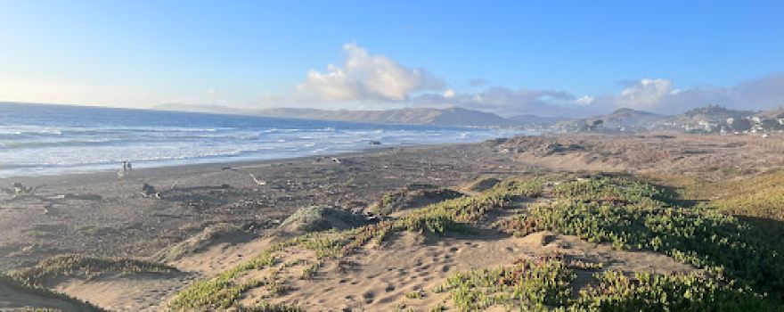 Morro Bay Dog Beach
