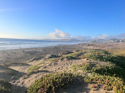 Morro Bay Dog Beach