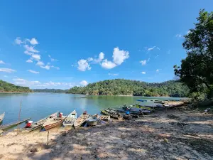 Lake Muda Jetty