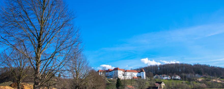 Burg Thurn