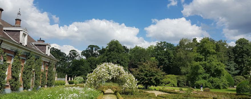 Rose garden