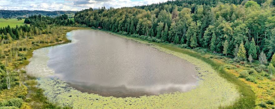 Lac de Malpas