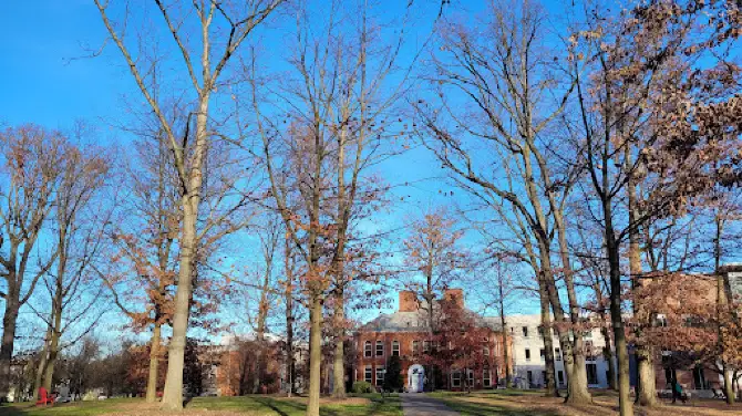 The Oak Grove