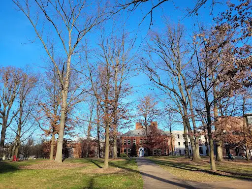 The Oak Grove