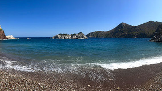 Hydra