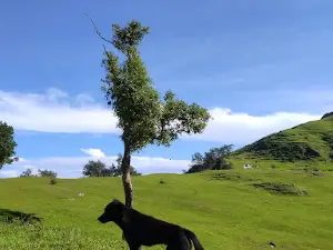 Bukit Bijaesunan