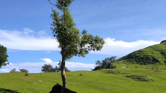 Bukit Bijaesunan