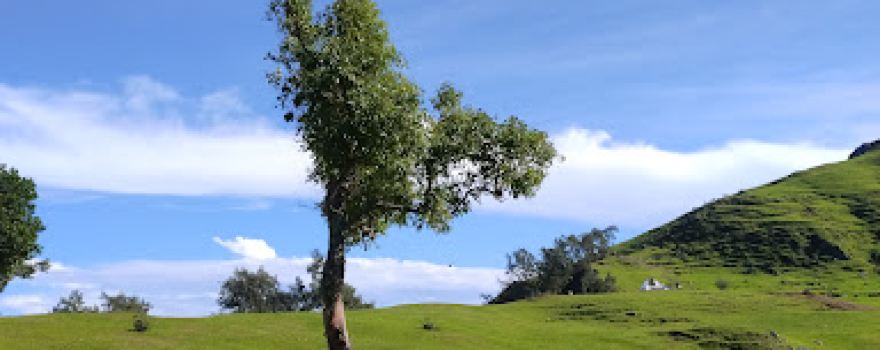 Bukit Bijaesunan