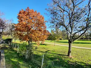 Camping Municipal de Bourbon-l'Archambault