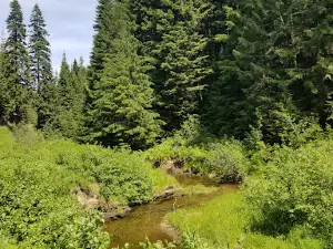 Emerald Creek Campground