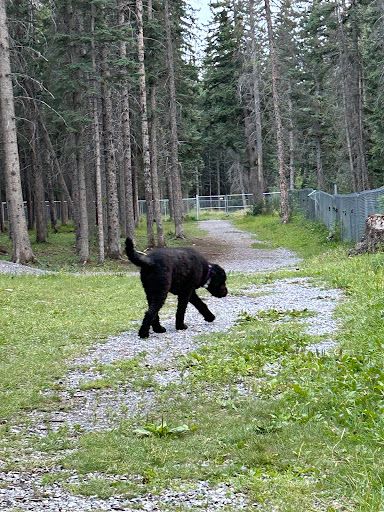 Hinton Dog Park