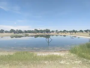 Muleshoe City Park