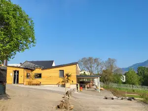 MoselCamping Bernkastel