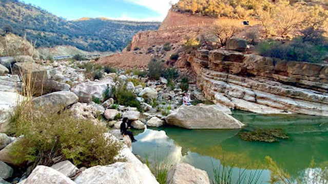 Surf Therapy Morocco