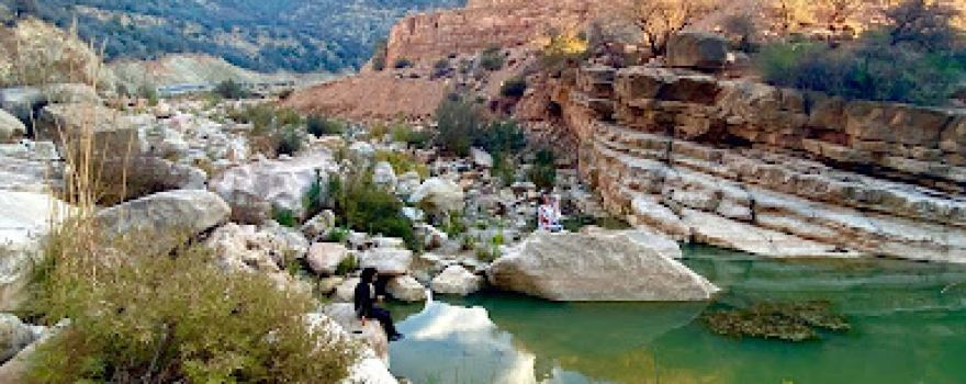 Surf Therapy Morocco