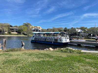 Cruise Cocoa