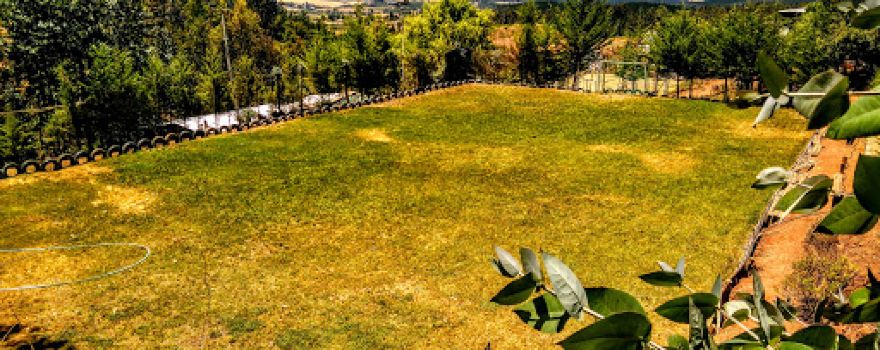 Camping El Romeral