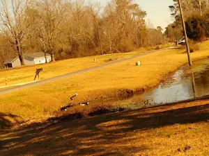Rocky Point Campground