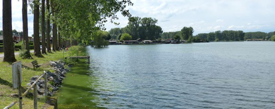 Etangs De La Tensch