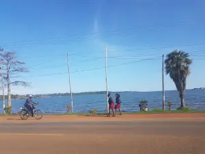Kitubulu forest and beach