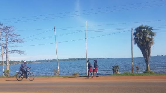 Kitubulu forest and beach