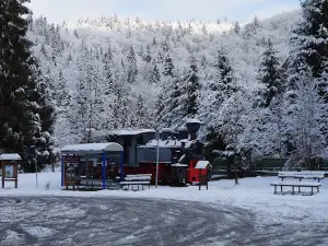 Mocanița