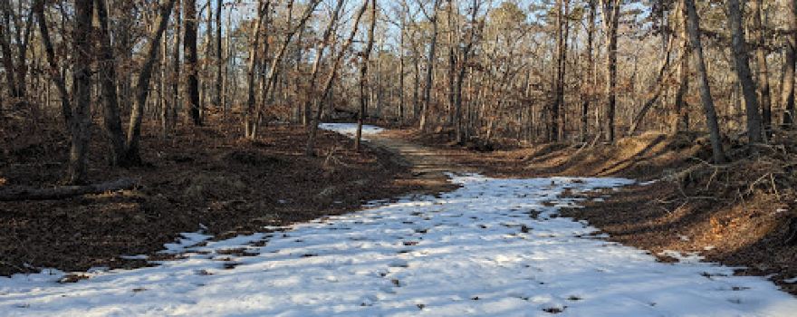 Rocky Point State Pine Barrens Preserve