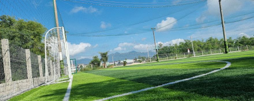 Sân bóng 79 cỏ nhân tạo