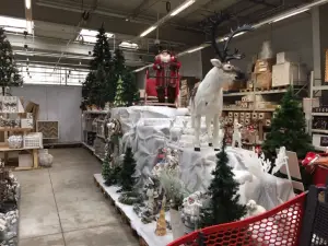 Auchan Jardinerie