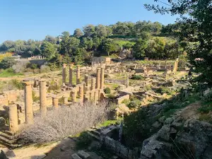 Cyrene Museum