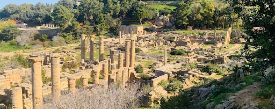 Cyrene Museum