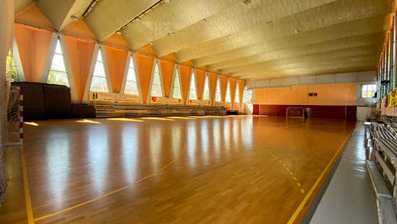Ceahlăul Sports Club