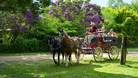 Cobb & Co Nine Mile Camping Grounds