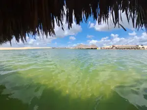 Tirolesas e Tobogã